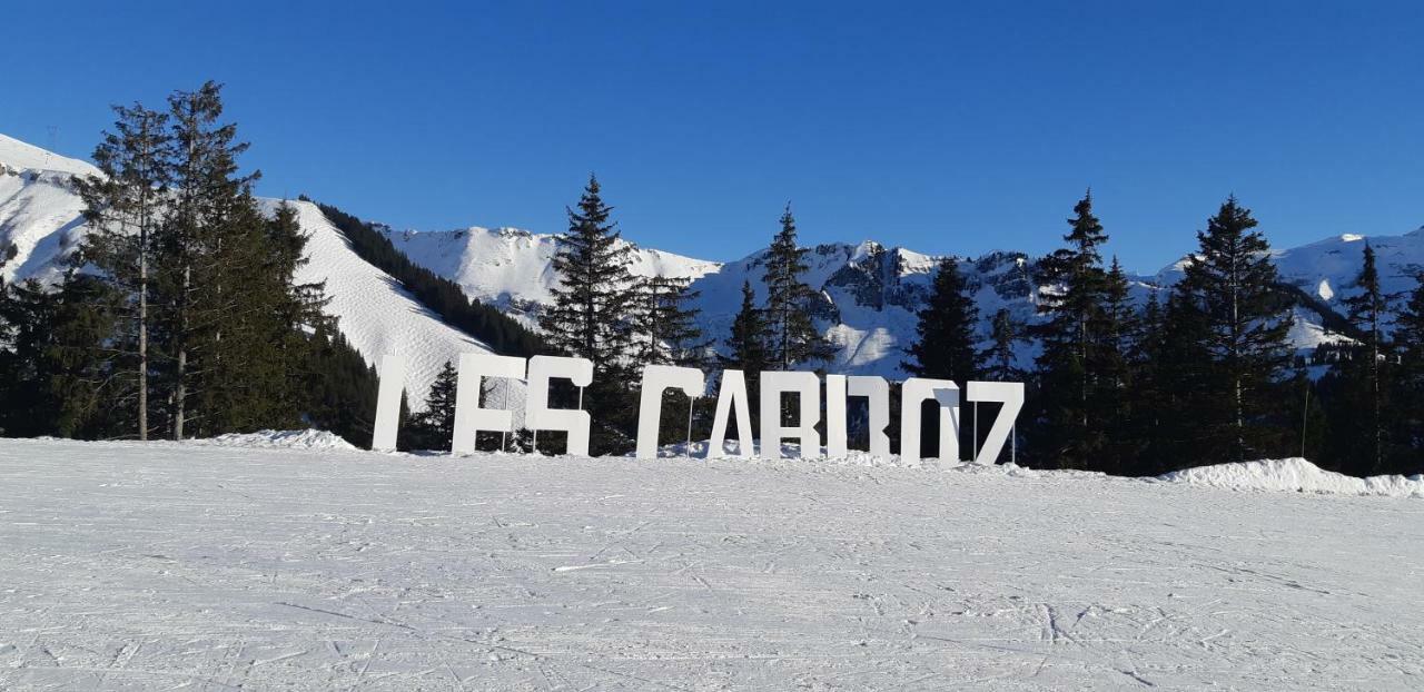Grand Studio Les Carroz d'Araches Exterior photo